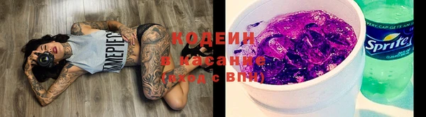 ПСИЛОЦИБИНОВЫЕ ГРИБЫ Краснослободск