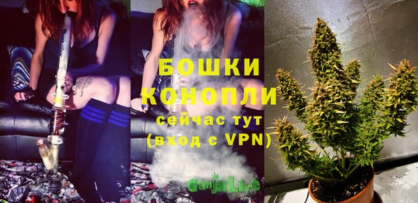 ПСИЛОЦИБИНОВЫЕ ГРИБЫ Краснослободск