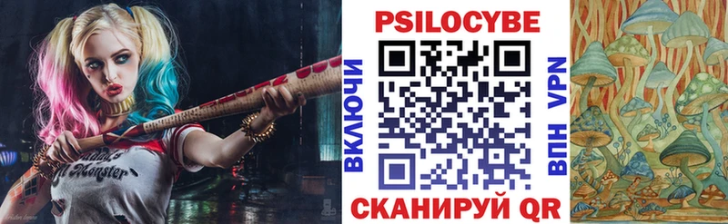 Псилоцибиновые грибы Psilocybine cubensis  Шенкурск 